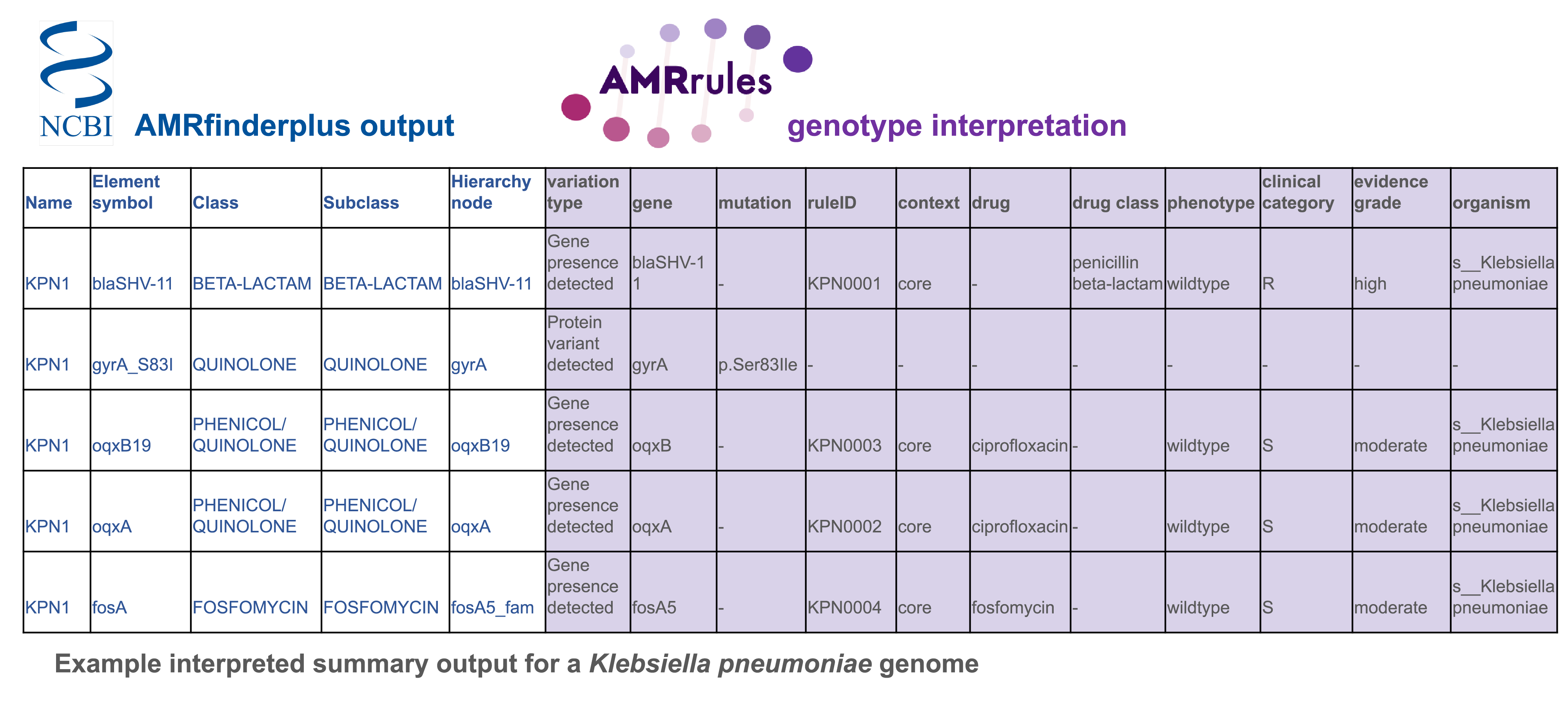 Abbreviated example of an interpreted AMRFP table